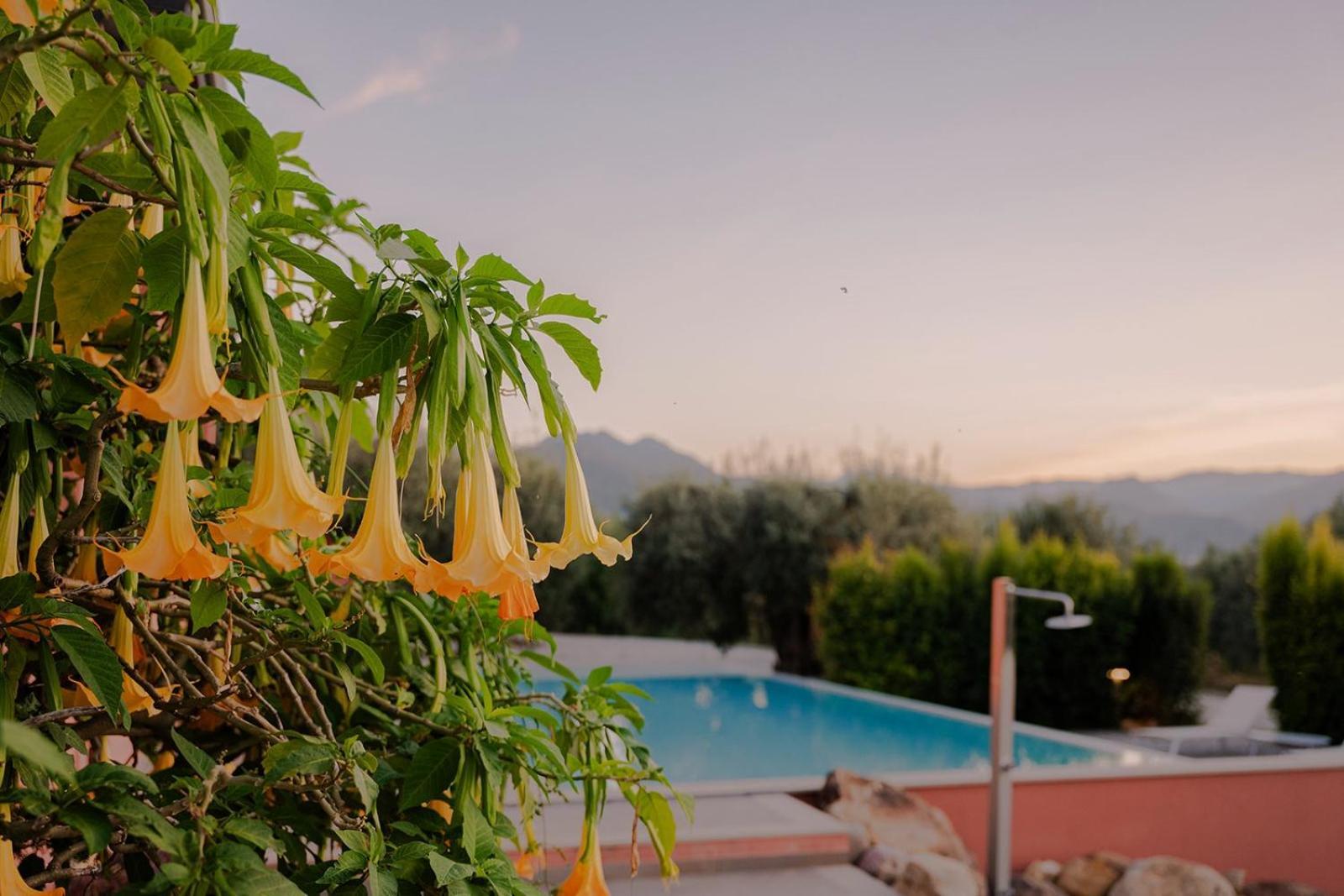 Bioagriturismo Antica Sena Milici Ngoại thất bức ảnh